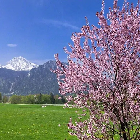 Triembachhof *