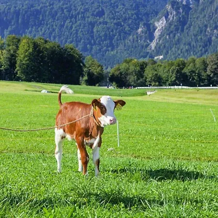 Triembachhof *