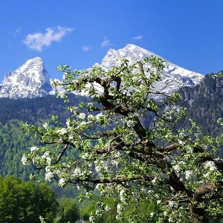 Triembachhof *