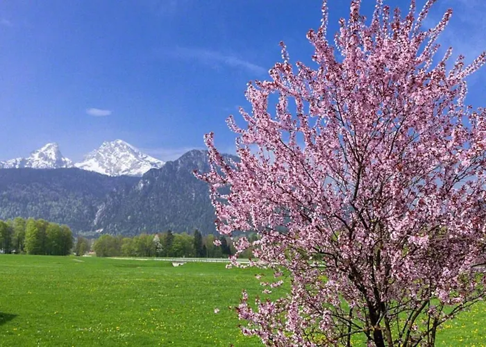 Triembachhof *