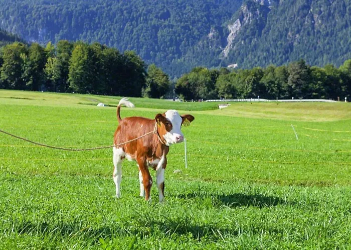 Triembachhof *