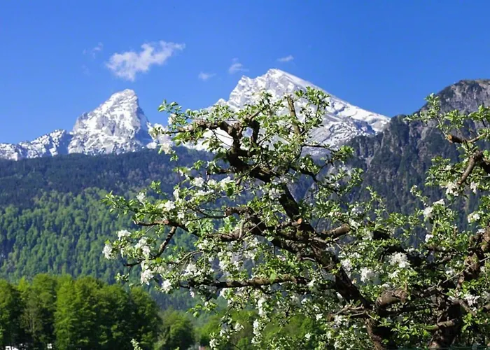 Triembachhof *